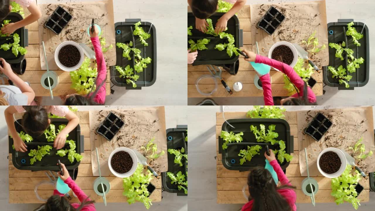 孩子们在家或学校园艺学习照顾植物和生态。幼儿一起从事生物学项目并拍照记录他们的进度的俯视图