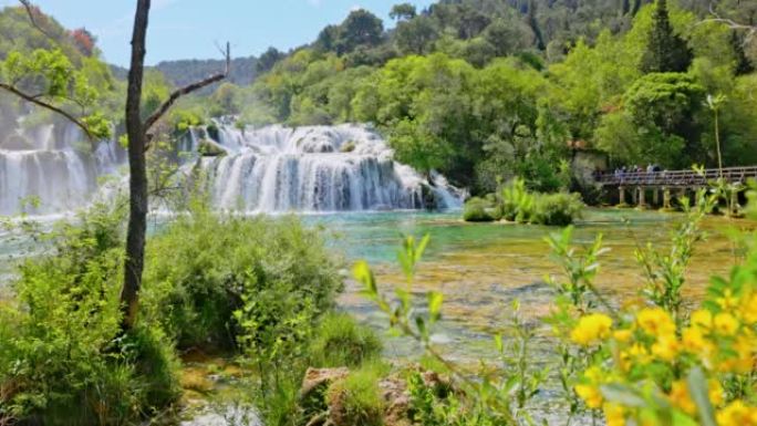 Krka国家公园的Skradin瀑布，前面有许多绿色植物和黄色花朵