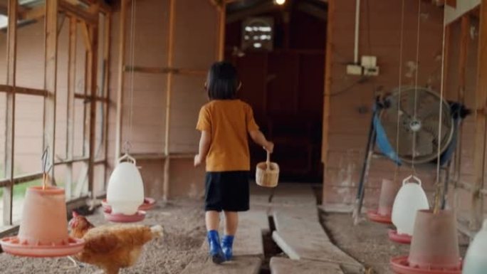 学龄前男孩在家禽农场学习和探索。