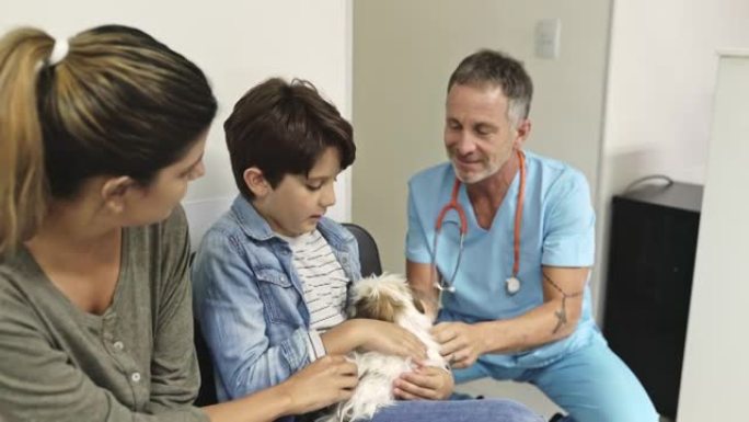 医生在候诊室与小狗和宠物主人互动
