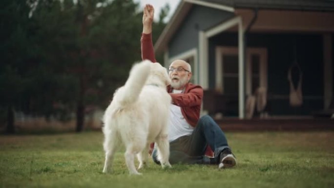 一个快乐的成年男子和一只宠物金毛猎犬在户外享受时光的肖像，抚摸一只顽皮的狗。开朗的高级男性在屋前的花