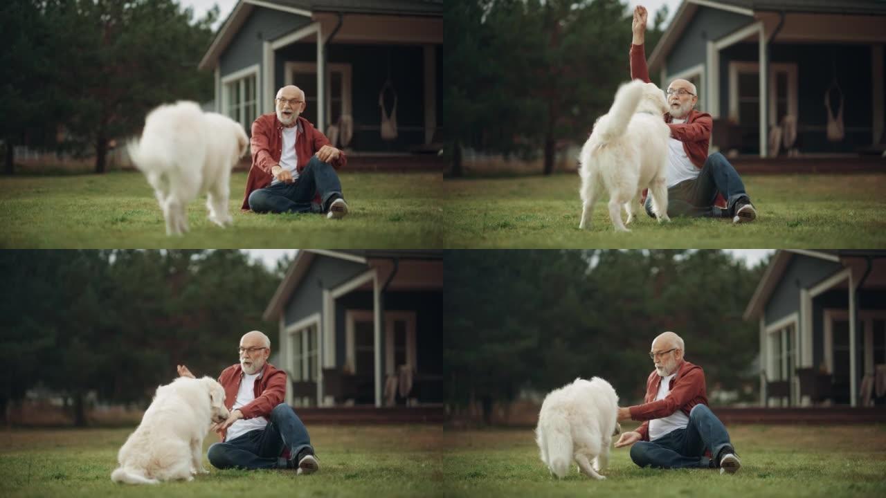 一个快乐的成年男子和一只宠物金毛猎犬在户外享受时光的肖像，抚摸一只顽皮的狗。开朗的高级男性在屋前的花
