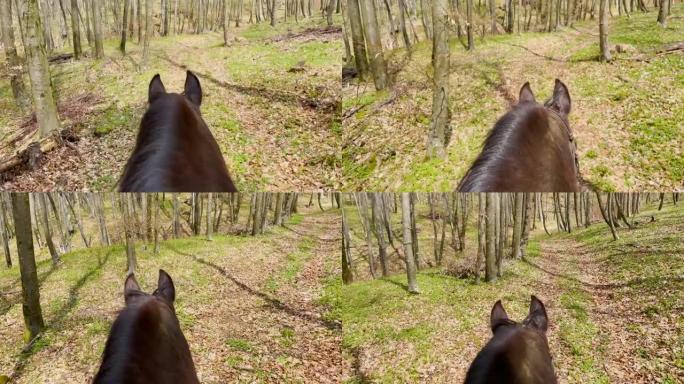 POV: 在阳光明媚的日子里骑马穿过树林的第一人称视角。