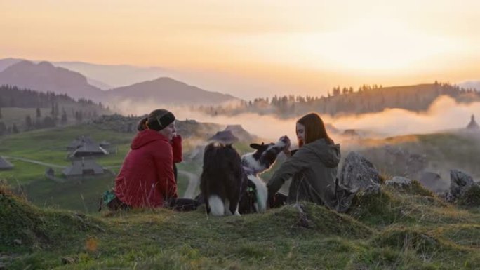 年轻妇女坐在山上喂狗