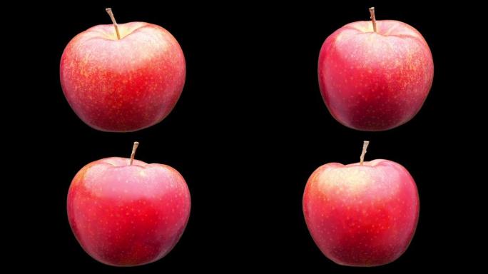 红苹果隔离。苹果特写新鲜水果