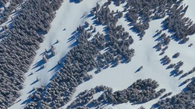 冬季山区积雪林木的俯视图抽象自然背景