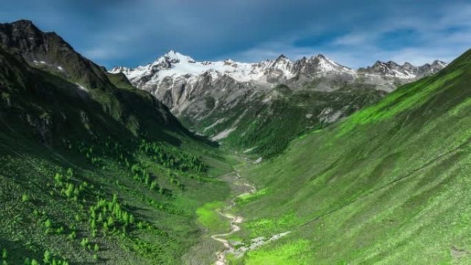 下强拉雪山矗立在森林峡谷的尽头