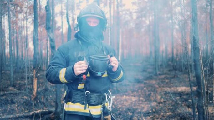 一名消防员站在被烧毁的森林里。消防员，消防员，森林火灾概念。