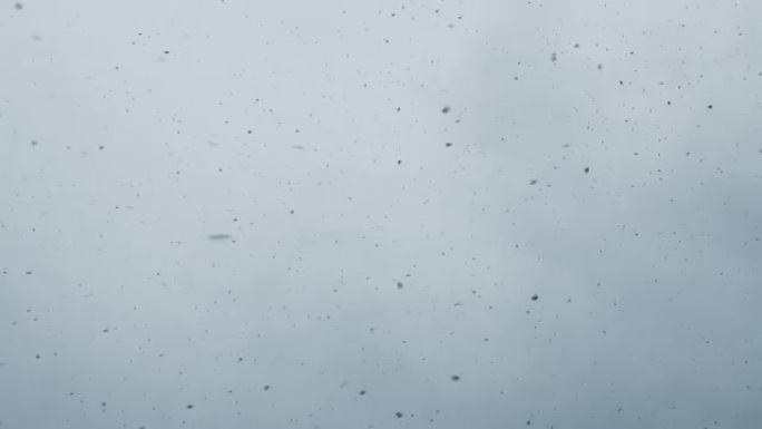 飘落的雪雪、天气、4k分辨率