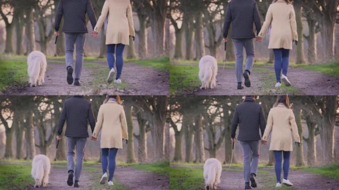 与带假肢行走宠物金毛猎犬狗的夫妇在秋季或冬季乡村的后视-慢动作拍摄