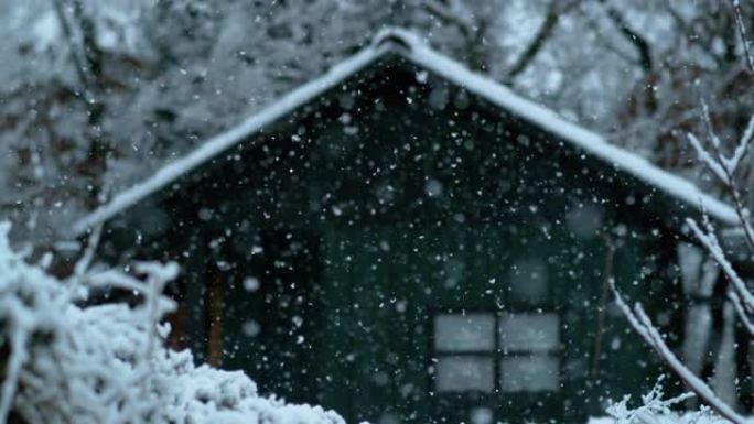 BOKEH: 一场暴风雪覆盖小木屋周围自然的电影镜头。
