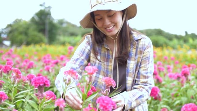 在花中工作的女农民