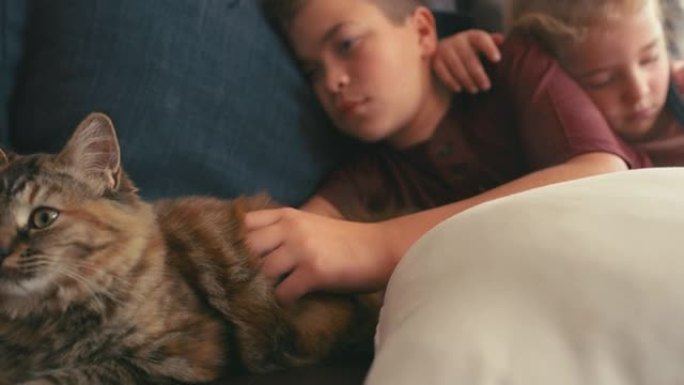 一个可爱的男孩和女孩在家与猫小睡的4k视频片段