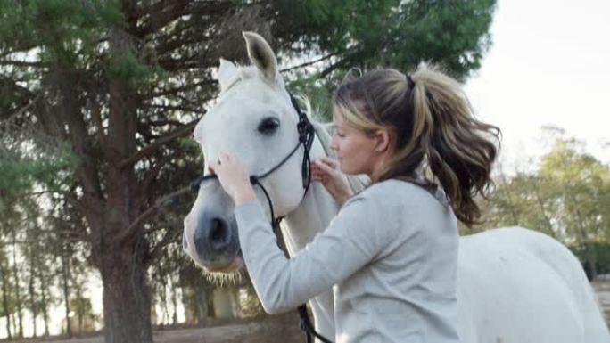 让信任引领道路