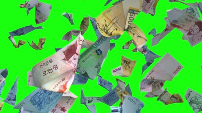 绿色色度键4k循环上的下跌钞票韩元货币
