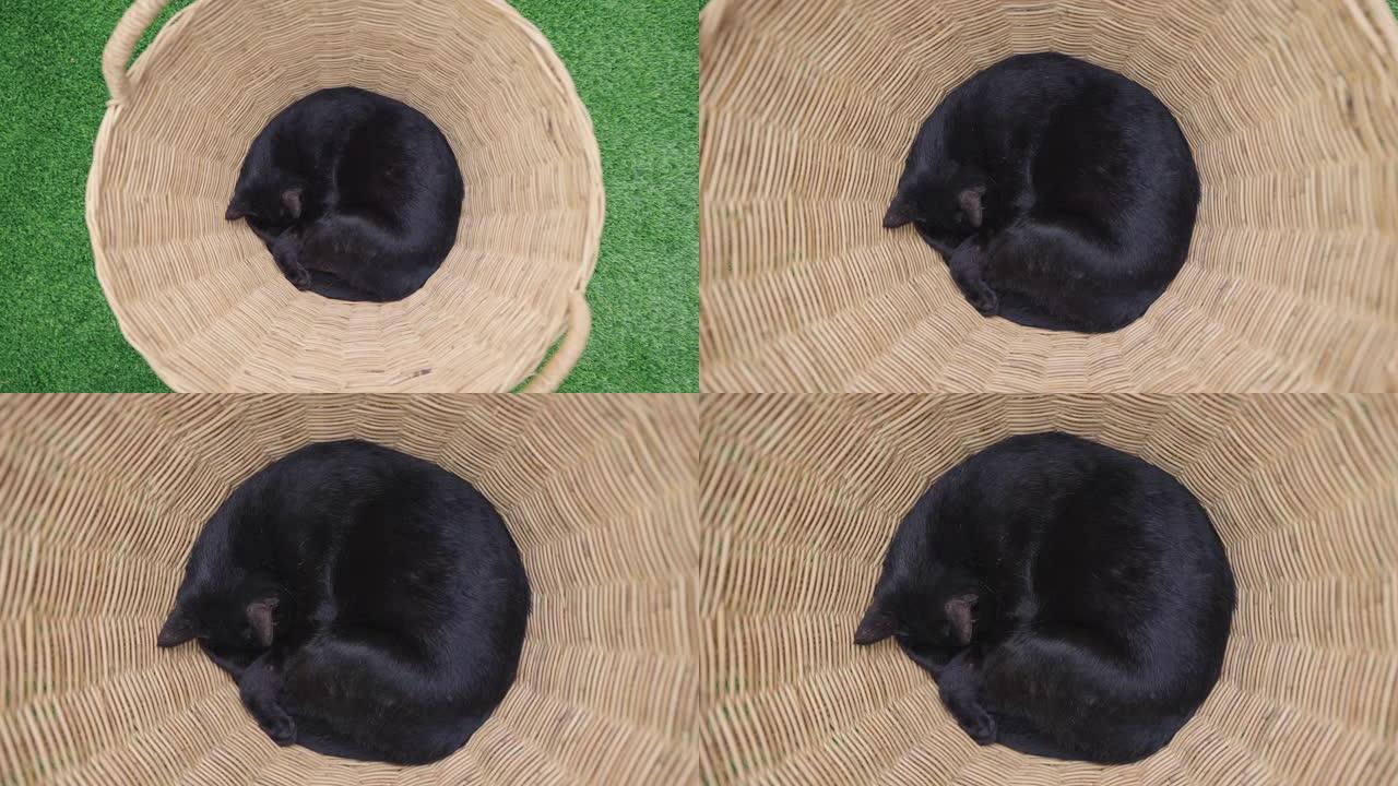 4k可爱的黑猫睡在篮子里俯视图