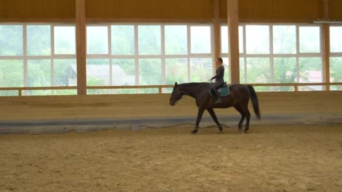 慢动作: 女性骑马骑手在盛装舞步训练后冷却马匹