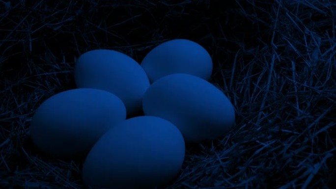 晚上在巢中传递鸡蛋