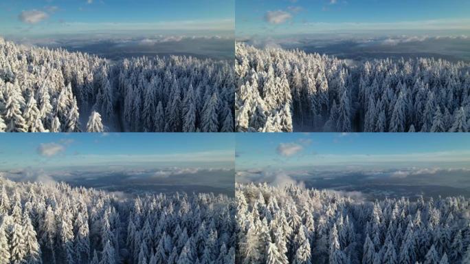 空中: 蜿蜒穿过白雪皑皑的森林的山路和山谷的壮丽景色