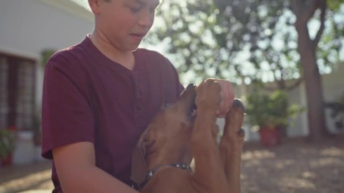 4k视频片段，一个男孩在家里的花园里与他的脊背小狗结为纽带