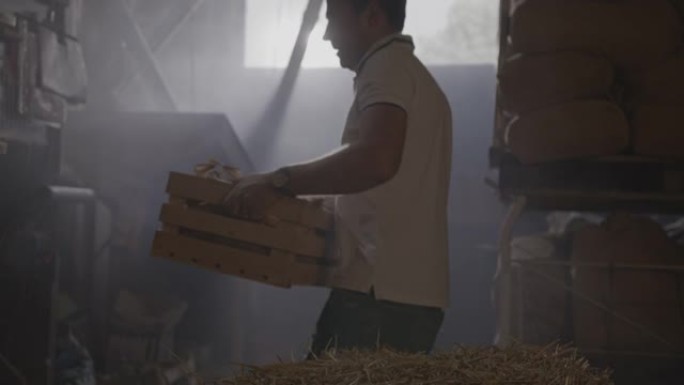 SLO MO Farmer在谷仓内携带一个装满玉米芯的板条箱
