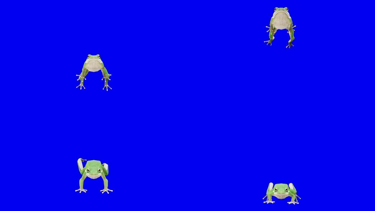 慢动作在蓝箱上运行绿色青蛙。动物的概念，野生动物，游戏，返校，3d动画，短视频，电影，卡通，有机，色