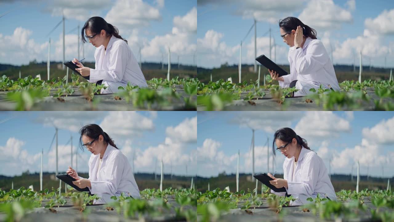 穿着制服的亚洲科学家正在测试农场植物的质量