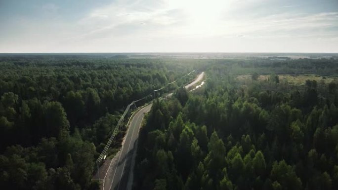 公路槽茂密的森林。空中无人机视图，自上而下