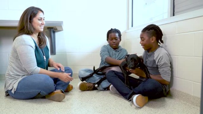 动物收容所的志愿者帮助男孩遇见救援犬