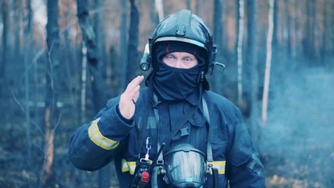烧毁的森林，消防员穿着安全装备