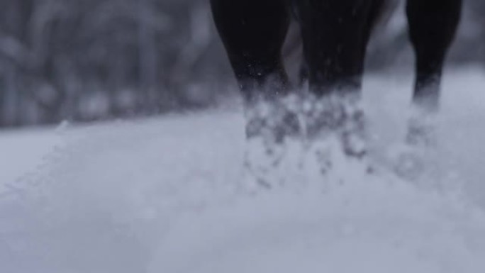 特写，dop: 马蹄踢起覆盖田园诗般的乡村的积雪。