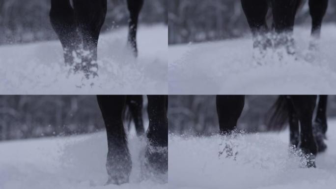 特写，dop: 马蹄踢起覆盖田园诗般的乡村的积雪。