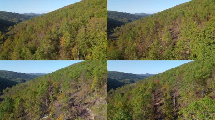 空中: 初秋时飞在山坡上覆盖着茂密的林木