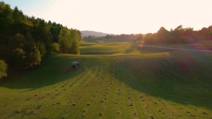 空中: 带有干草tedder的农用拖拉机在秋天的傍晚时分转向割草