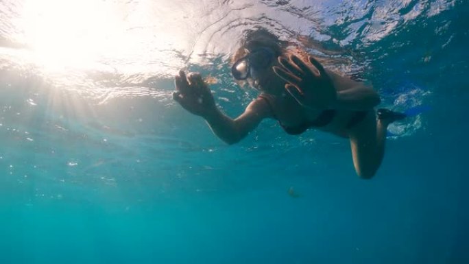 一位女士在水下游泳时触摸藻类