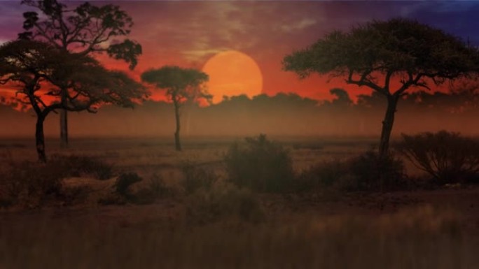 非洲热带草原动画