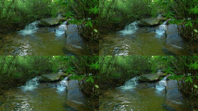 森林中的溪流水湍急山水流动河水小溪树林