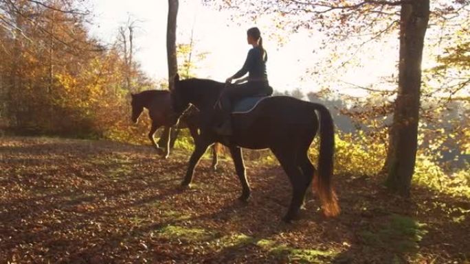 镜头耀斑: 年轻女子在日出时带领她的马穿过秋天的森林。