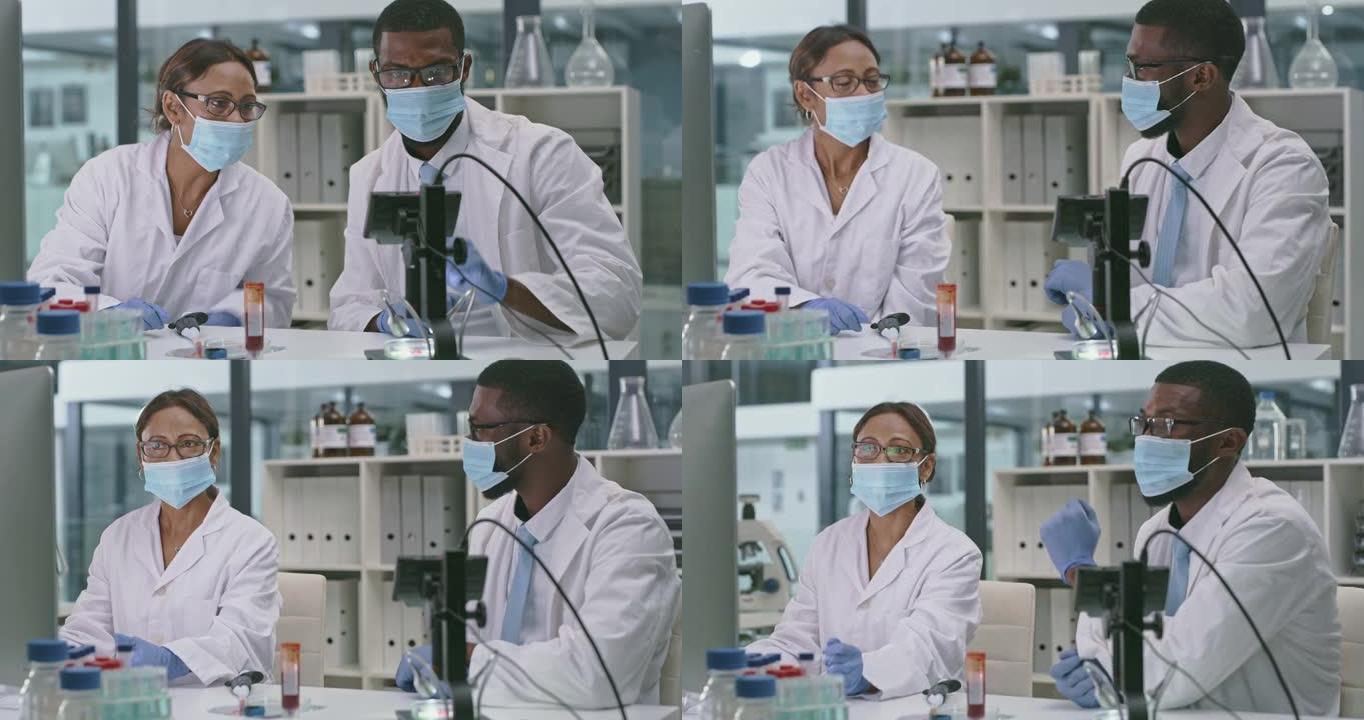 两名科学家在实验室中使用数字显微镜和计算机的4k录像