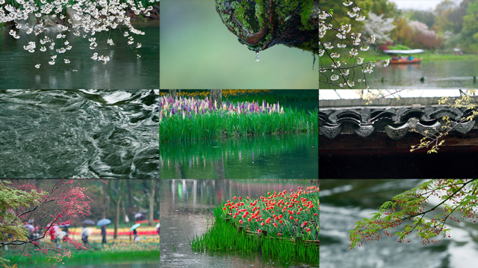 春天绿意盎然春雨绵绵空镜