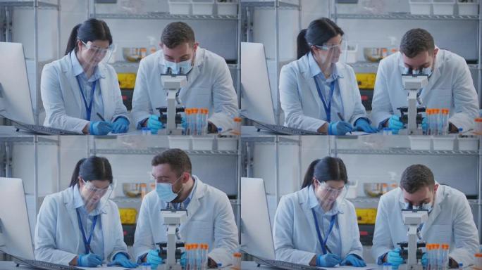 男女实验室工作人员使用显微镜进行研究，并在计算机上记录结果