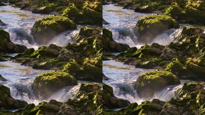 特写: 河流流淌着覆盖着秋叶的大苔藓覆盖的石头