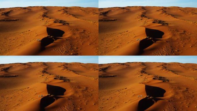游客的鸟瞰图走进沙丘，欣赏风景秀丽的纳米比亚纳米布沙漠的壮观景观