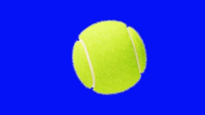网球近距离旋转在蓝色背景循环3d动画。无缝慢动作转向黄绿色网球隔离阿尔法面具。体育的概念