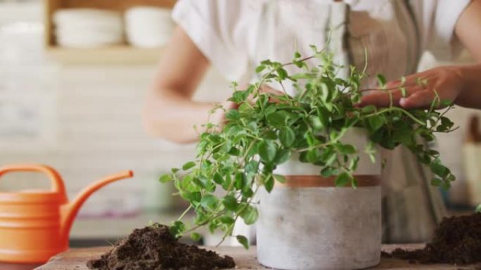 白人妇女在小屋厨房中盆栽植物的中段