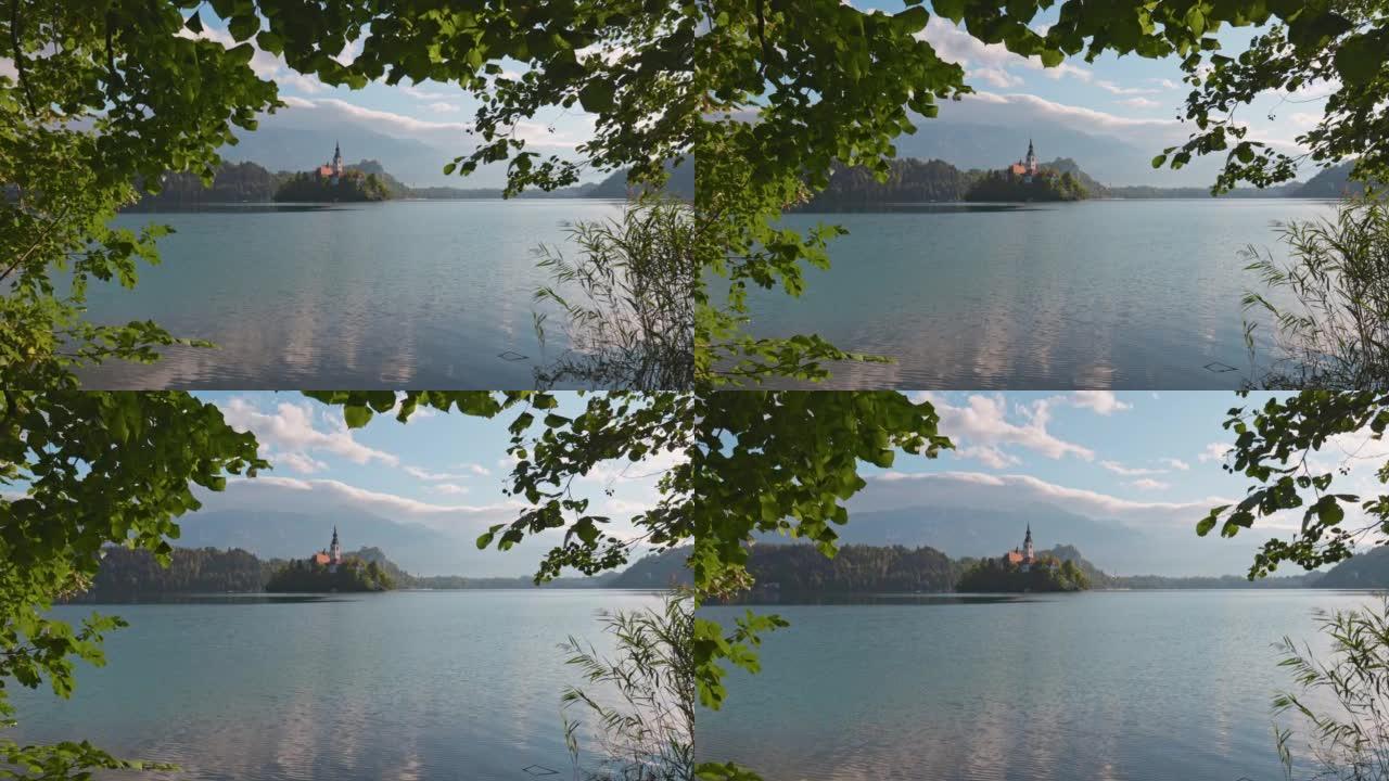 斯洛文尼亚布莱德湖。摄像机穿过布莱德湖和岛上的树枝与教堂