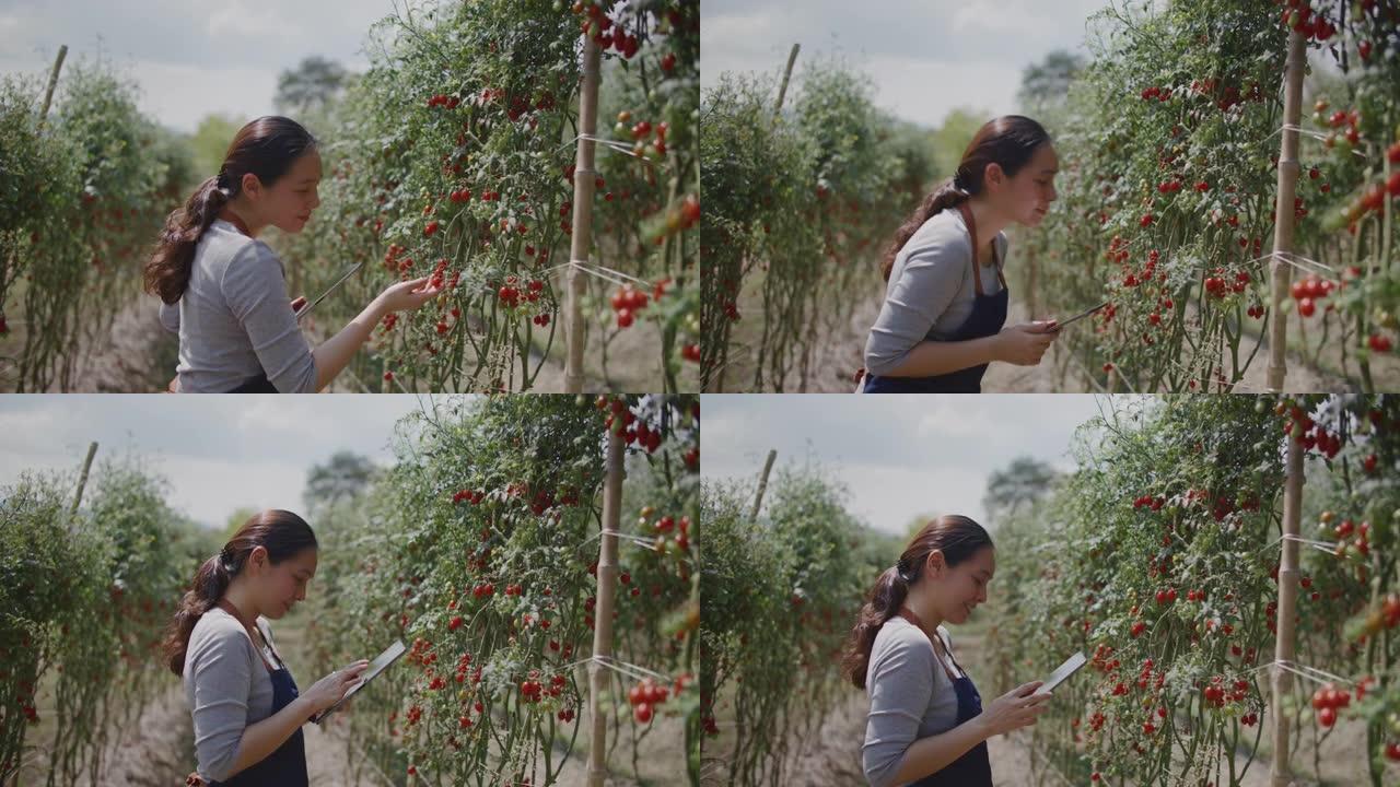 农民在她的农场使用数字平板电脑监控