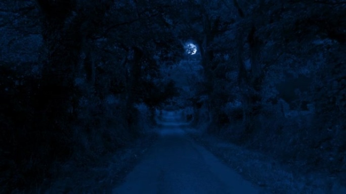 夜晚在绿树成荫的乡间小路上方的月亮