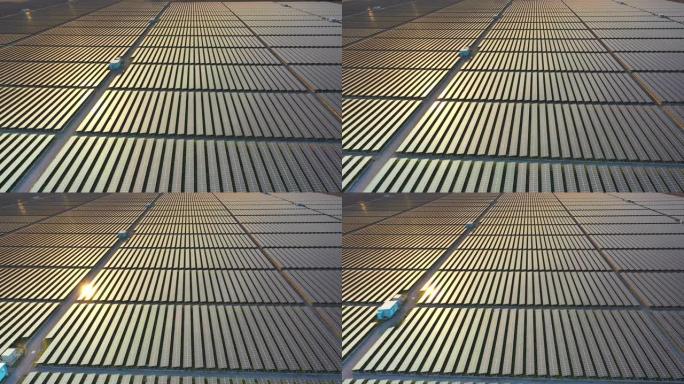 日落时太阳能电池板农场的鸟瞰图 (太阳能电池)