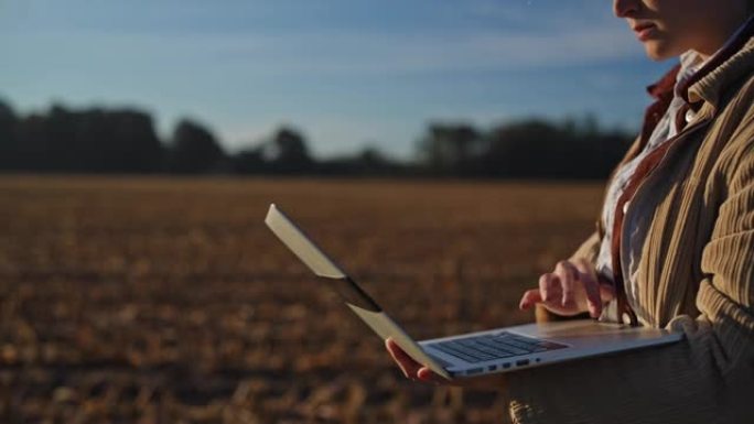 在阳光明媚的玉米作物中在笔记本电脑上工作的女农民